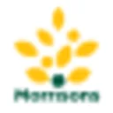 Morrisons Grocery